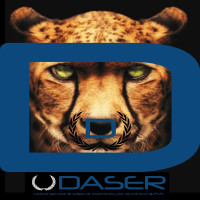 Daser Global